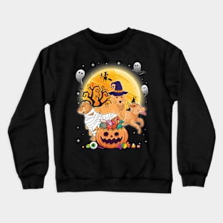 Golden Retriever Dog Mummy Witch Moon Ghosts Happy Halloween Thanksgiving Merry Christmas Day Crewneck Sweatshirt